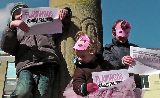 Flamingos against Fracking - highlighting Barclays fracking plans near Flamingo Land North Yorkshire