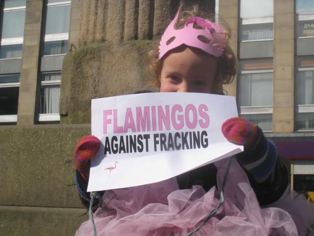 Flamingos against Fracking - stop Barclays fracking plans near Flamingo Land North Yorkshire